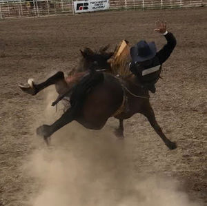 Meet your Posher, Tate